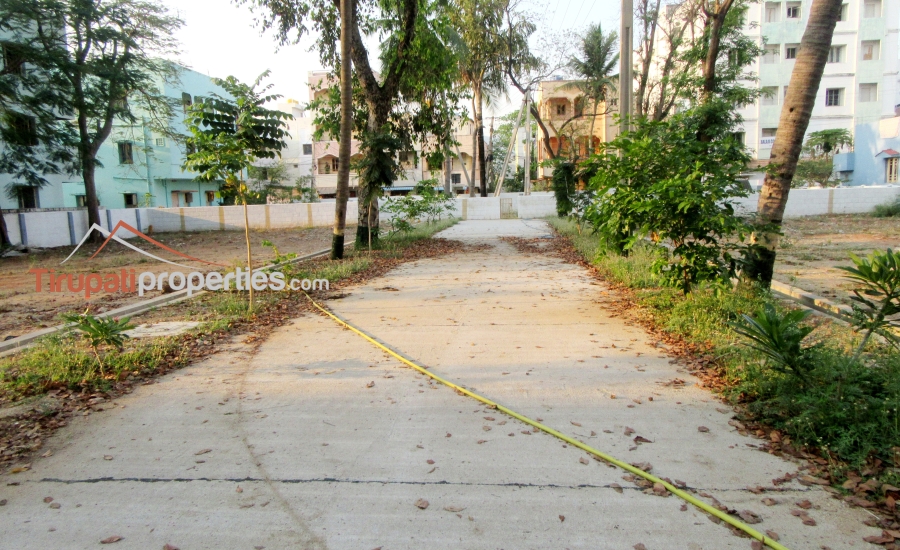 TUDA & RERA Approved #GatedCommunity East & West Facing #PlotsforSale Near Padmavathi Kalyanamandapam, #Tirupati